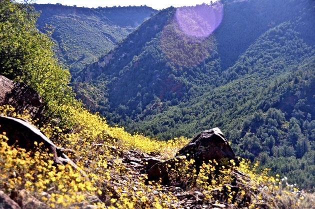 Casner Canyon Trail Image