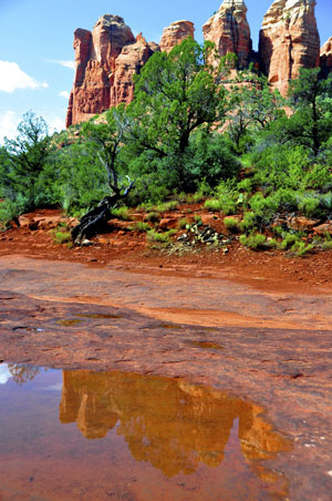 Soldiers Pass Trail Image 2