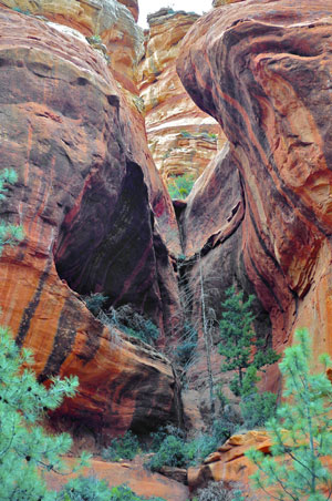 Sterling Pass Trail Image 1