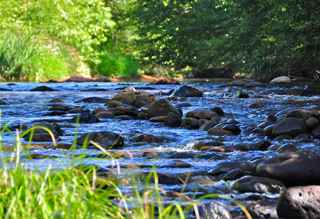 Cathedral/Templeton Trail Image 1